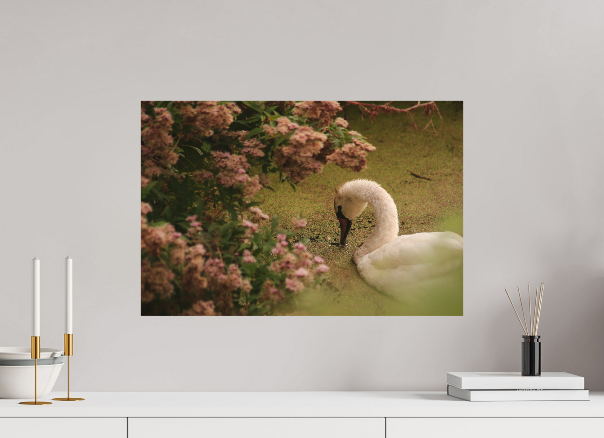 60 x 40 cm, Aluminium with mounting rails swan in the pink flowers
