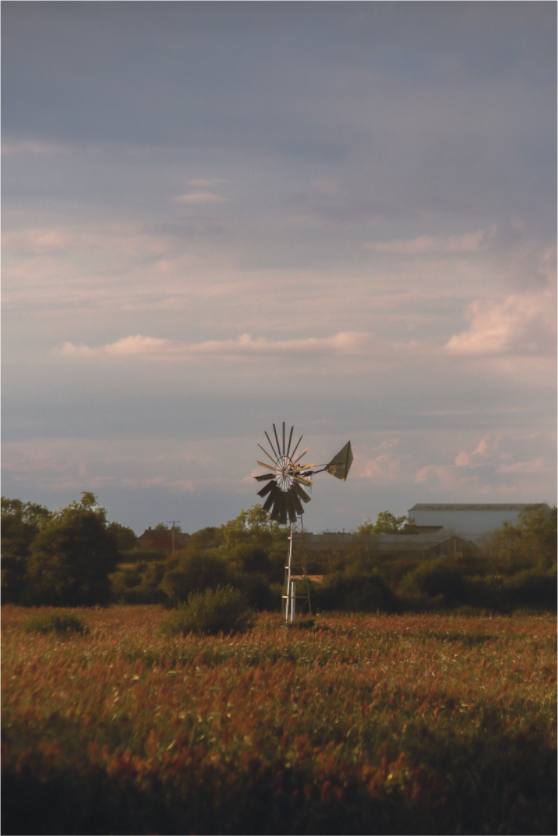 Main image windy day on the levels