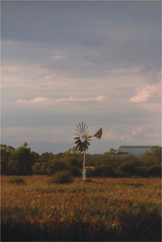 Main image windy day on the levels